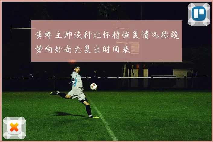 黄蜂主帅谈科比怀特恢复情况称趋势向好尚无复出时间表