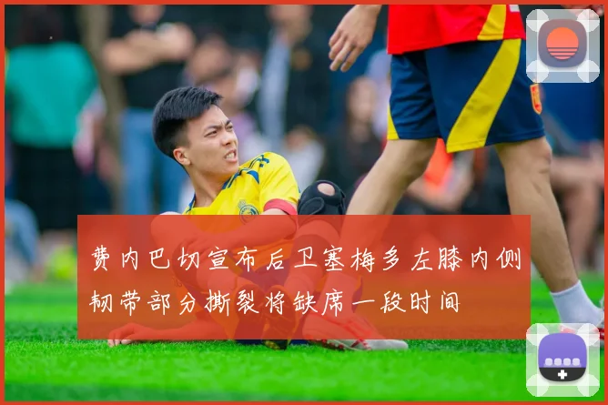 费内巴切宣布后卫塞梅多左膝内侧韧带部分撕裂将缺席一段时间